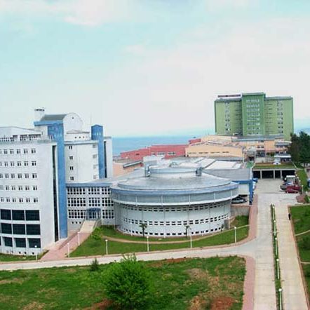 Karadeniz Teknik Üniversitesi